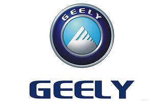 Екошкіра килимки з бортиками в салон для Geely