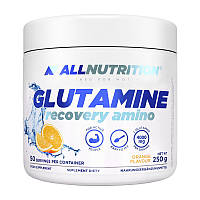 All Nutrition Glutamine (250 g, orange)