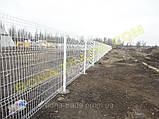 Панельні заборні сітки, фото 3