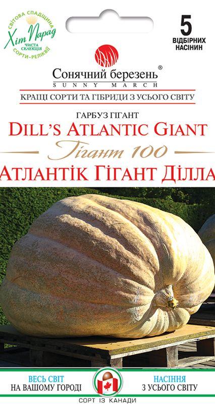 Насіння Гарбуз Атлантік Гігант Ділла 100 5 шт СМ