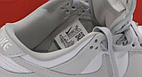 Кросівки чоловічі Найк Nike SB Dunk White Low Grey Fog DD1391-103, фото 8