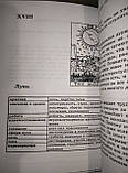 Набір таролога : Таро Уейта в мішечку з книгою Ключові поняття Хайо Банцхаф ( ukraine ), фото 2