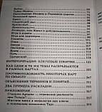 Набір таролога : Таро Уейта в мішечку з книгою Ключові поняття Хайо Банцхаф ( ukraine ), фото 5