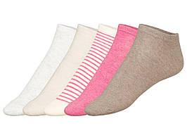 Комплект низьких жіночих шкарпеток Esmara з 5 пар, розмір 35-38
