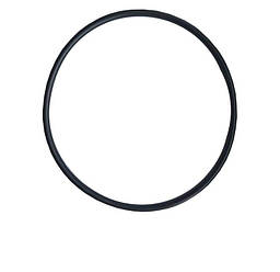Ущільнювальне кільце InPool 10850 для адаптації скіммера