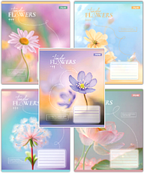 Зошити 96 аркушів, клітинка 1Вересня "Tender Flowers" 768084