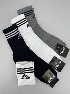 Шкарпетки чоловічі демісезонні 41-44 взуття 12пар/уп