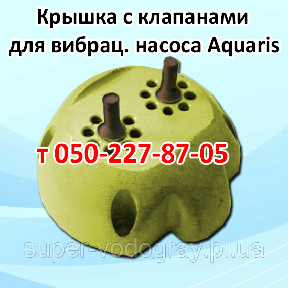 Кришка з клапанами для вібраційного насоса Aquaris, фото 1