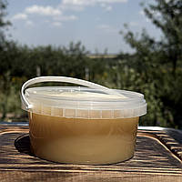 Мед ріпак травневий натуральний сімейна кочова пасіка 0,5 л (700 г) 2025 р