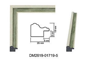 Пластиковий багет для рам DM2619-01719-5