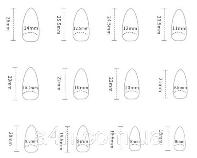 Накладные ногти - Интернет-магазин A4N Размеры накладных ногтей