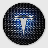 Значек на булавке Tesla - металлический логотип на сетке (58 мм)
