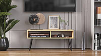 Тумба під ТВ Невада Ferrum-decor 45x100x38 Чорний метал ДСП Дуб Артізан 16 мм (FRD-106726)