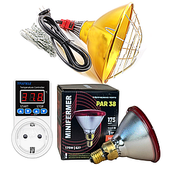 Комплект для обігріву птахів: терморегулятор, інфрачервона лампа та захисний абажур