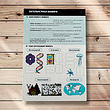 23 інтерактивні картки для підготовки до ЗНО з Біології Авт: Каліберда М. Вид: Соняшник, фото 3