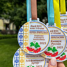 Акрилова іменна медаль для вчителя. Подарунок для вчителя. Шкільна медаль. Медаль на 1 вересня