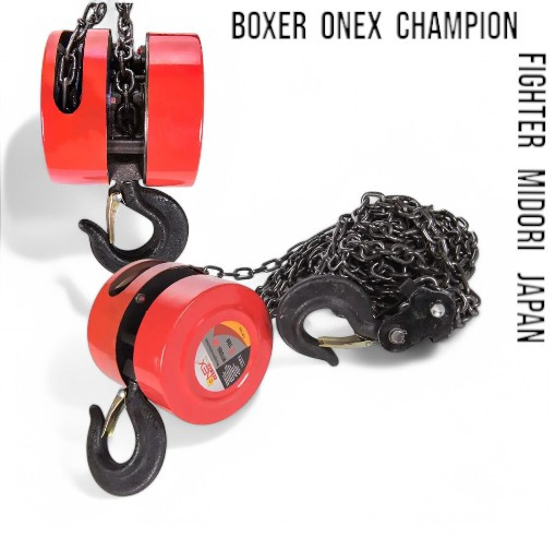 Ланцюгова таль 1 т 3 м Onex OX-459 ручна лебідка підйомна ручна таль ланцюгові лебідки сталеві талі, фото 1
