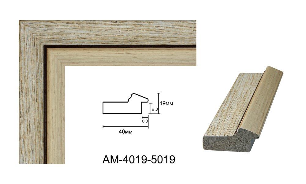 Пластиковий багет для рам AM4019-5019, фото 1