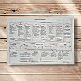 Історія України в таблицях Дидактичний матеріал Авт: Харькова Н. Вид: Богдан, фото 2