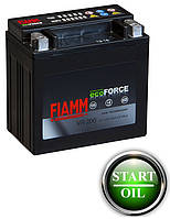 АКБ FIAMM 6СТ-12Ач 200А Ecoforce AGM VR200