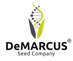 DeMarcus