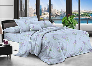 Комплект постільної двоспального білизни бязь розмір 175х215 см з візерунком