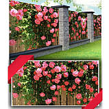 Фотофасад для декору Supretto Троянди універсальний, фото 4