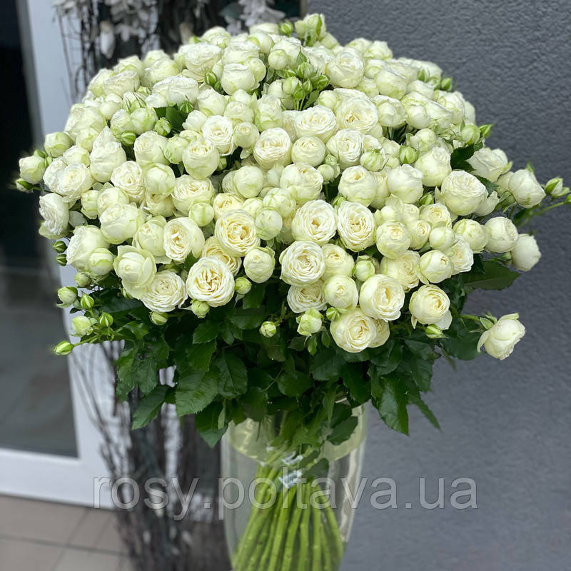 Сноу Ворлд (Snow World ), фото 1