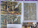 Набір для вишивання: "Дубовий гай" 18 каунт ДМС. ( УТОЧНЮЙТЕ ЦІНУ ПЕРЕД ОПЛАТОЮ), фото 5