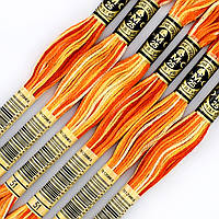 Муліне DMC 51 нитка меланж для вишивки (арт. 117)