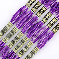 Муліне DMC 52 нитка меланж для вишивки (арт. 117)