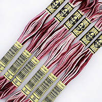 Муліне DMC 99 нитка меланж для вишивки (арт. 117)