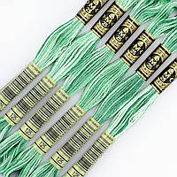 Муліне DMC 125 нитка меланж для вишивки (арт. 117)