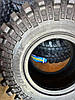 Всесезонні шини Journey Digger WN03 37/11.5 R16 123K. Авто Шина Journey Digger, фото 7