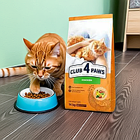 Корм сухий Club 4 Paws Premium з куркою для дорослих кішок, 14кг