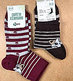 Π¨ΠΊΠ°ΡΠΏΠ΅ΡΠΊΠΈ ΠΆΡΠ½ΠΎΡΡ ΠΊΠ»Π°ΡΠΈΡΠ½Ρ "ΠΠΎΡΠΈΠΊ" 23-25 Ρ. (12 ΠΏΠ°Ρ!) (ΠΠ΅ΠΌΡΡΠ΅Π·ΠΎΠ½Π½Ρ), ΡΠΎΡΠΎ 2