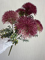 Будяк декоративний . Кущ для декору ( бордовий , 32 см ), фото 2