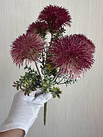 Будяк декоративний . Кущ для декору ( бордовий , 32 см ), фото 3