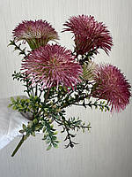 Будяк декоративний . Кущ для декору ( бордовий , 32 см ), фото 7