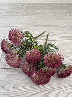 Будяк декоративний . Кущ для декору ( бордовий , 32 см ), фото 6