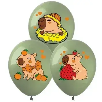 Art Show 12" Капибара  Мін.замовлення 5 шт