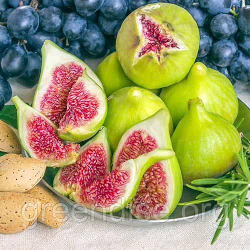 Диаспен порно