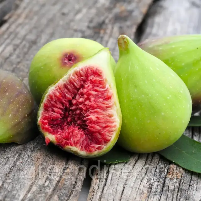 Армян порно фильмдері