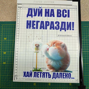 Наліпка для одягу "Котик з кульбабою та написом Дуй на всі негаразди! Хай літати далеко..." лист А4 Код/Артикул А4