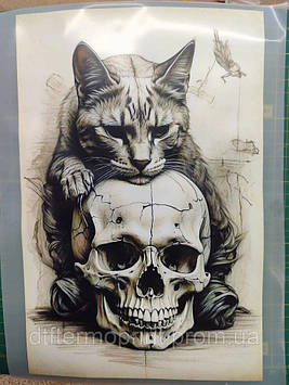 Наліпка для одягу "Кіт з черепом" розмір А4 Код/Артикул А4