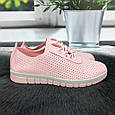 Сліпони жіночі Princess рожеві перфоровані еко-шкіра 8033, фото 3