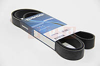 Ремінь генератора Honda Accord VII 2.0 2003 ->2008 Dayco (Італія) 7PK1759