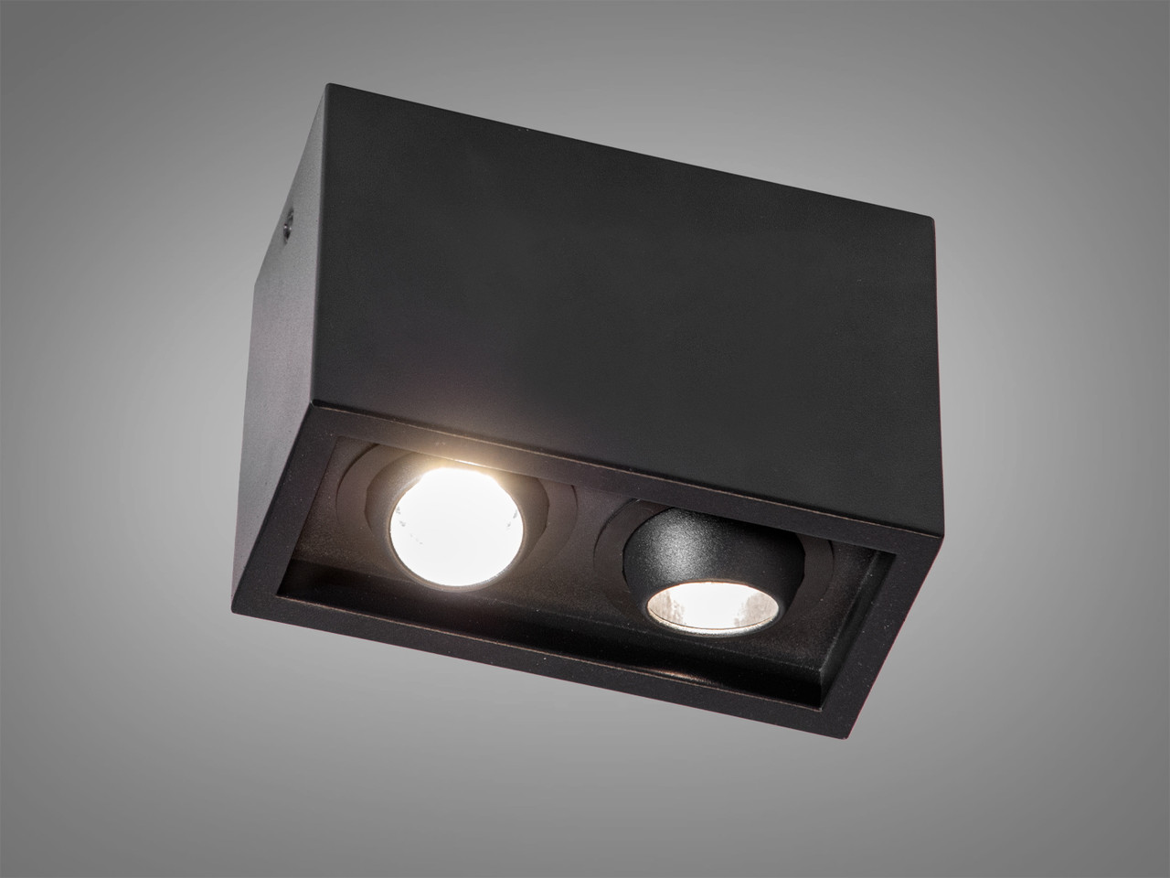 Стельовий світильник Diasha чорний накладний з двома лампами для вітальні 136G-2-BK