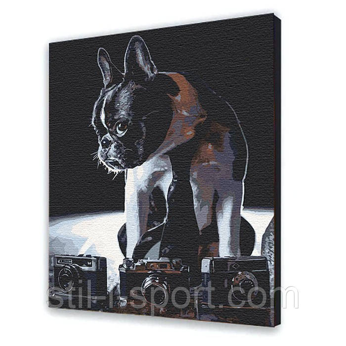 Картина за номерами 11642-AC 40 х 50 см оптом, фото 1