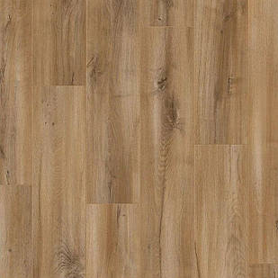 Ламінат Balterio EXCELLENT Дуб Кокосовий 902 вологостійкий 32 клас, 8мм товщина з фаскою